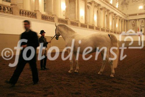 Starke Marken - starke Regionen. Bild: Mag. Armin Aigner (GF Spanische Hofreitschule) führt durch die Hofreitschule. Foto: Anna Rauchenberger, am 17.01.06