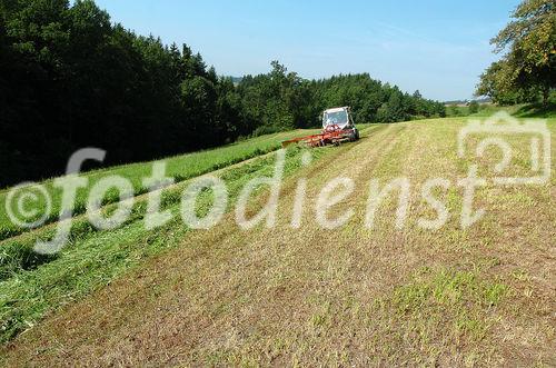 Genuss Region Österreich - Pierbach Weidegans