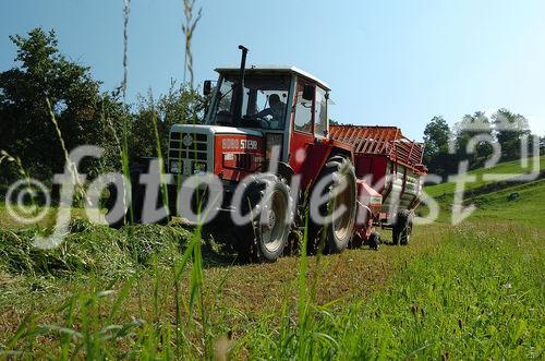 Genuss Region Österreich - Pierbach Weidegans