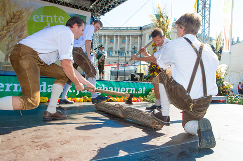 Erntedankfest 2013 