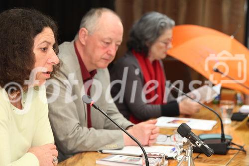  (c) fotodienst/Katharina Schiffl - Wien, am 27.03.2012 - Die Obfrau der asylkoordination Mag. Anny Knapp präsentiert die aktuellen Forderungen, die sich aus den Ergebnisse des Projekts 