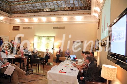  (c) fotodienst/Katharina Schiffl - Wien, am 11.05.2012 - Die Österreichische Apothekerkammer lädt zu einem Pressegespräch über eine neue Seniorenstudie zu Wechselwirkungen und die Einführung der e-Medikation.