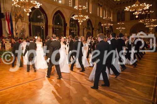 Der Blumenball ist eine traditionelle Tanzveranstaltung. Schon in den 1920er-Jahren erfreute sich dieses Tanzvergnügen großer Beliebtheit. Der Blumenball begann seine Geschichte als Blumenkränzchen der Wiener Stadtgärtnerinnen und - gärtner im Prater. 
Mittelpunkt des Blumenballs ist der klassische Tanz. Die Ballsäle werden mit unzähligen Blumenarrangements nach dem jählich änderten Thema von den Wiener Stadtgärtenerinnen und -gärtner geschmückt. Zahllose Blüten verbreiten unverwechselbaren Frühlingsduft. 
