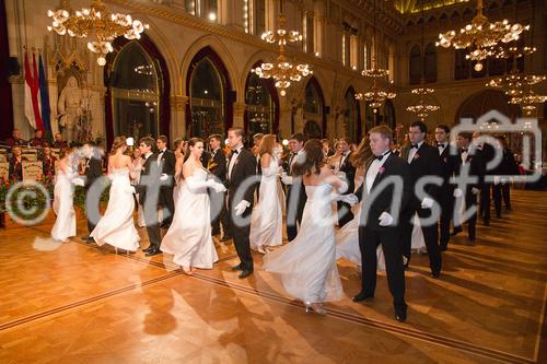 Der Blumenball ist eine traditionelle Tanzveranstaltung. Schon in den 1920er-Jahren erfreute sich dieses Tanzvergnügen großer Beliebtheit. Der Blumenball begann seine Geschichte als Blumenkränzchen der Wiener Stadtgärtnerinnen und - gärtner im Prater. 
Mittelpunkt des Blumenballs ist der klassische Tanz. Die Ballsäle werden mit unzähligen Blumenarrangements nach dem jählich änderten Thema von den Wiener Stadtgärtenerinnen und -gärtner geschmückt. Zahllose Blüten verbreiten unverwechselbaren Frühlingsduft. 
