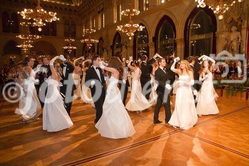 Der Blumenball ist eine traditionelle Tanzveranstaltung. Schon in den 1920er-Jahren erfreute sich dieses Tanzvergnügen großer Beliebtheit. Der Blumenball begann seine Geschichte als Blumenkränzchen der Wiener Stadtgärtnerinnen und - gärtner im Prater. 
Mittelpunkt des Blumenballs ist der klassische Tanz. Die Ballsäle werden mit unzähligen Blumenarrangements nach dem jählich änderten Thema von den Wiener Stadtgärtenerinnen und -gärtner geschmückt. Zahllose Blüten verbreiten unverwechselbaren Frühlingsduft. 
