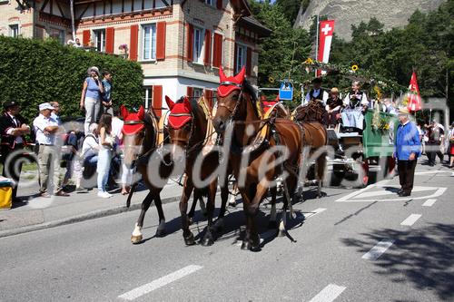 Eidgenössisches Schwing- und Älplerfest, Swiss Wrestling