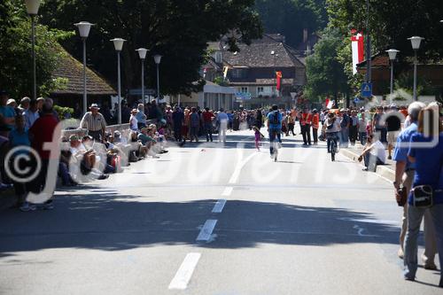 Eidgenössisches Schwing- und Älplerfest, Swiss Wrestling