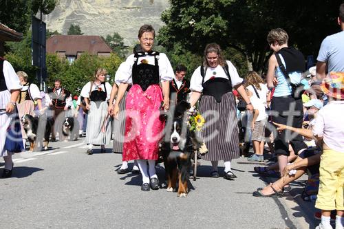 Eidgenössisches Schwing- und Älplerfest, Swiss Wrestling