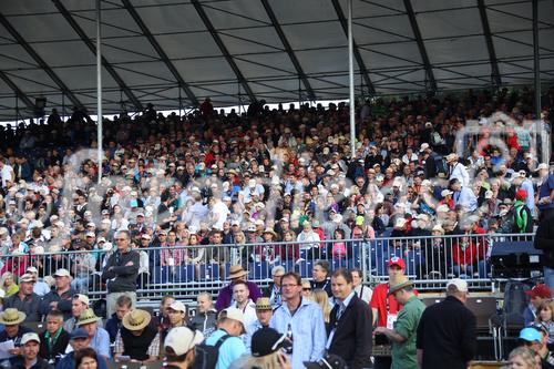 Eidgenössisches Schwing- und Älplerfest, Swiss Wrestling