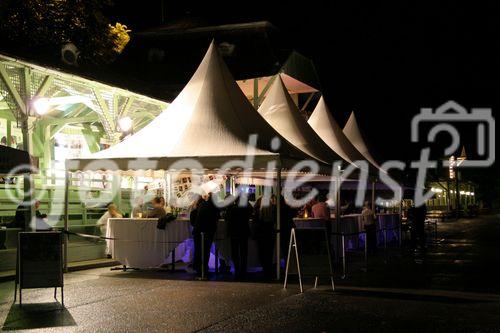 (C) fotodienst/Anna Rauchenberger - Wien 03.08.2006 - Das Philips Licht Derby, das alljährlich stattfindende Pferderennen, ging heute wieder auf der Trabrennbahn in Baden bei Wien über die Bühne.