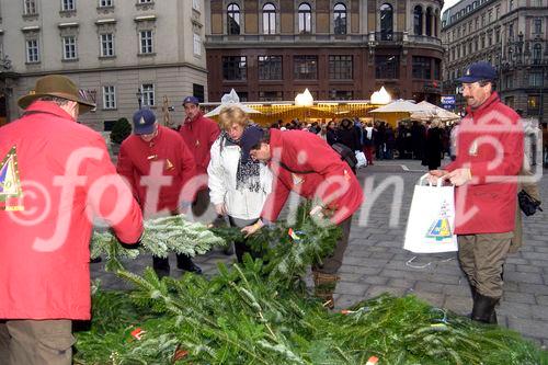 Landwirtschaftskammer Niederösterreich - Tannenreisig für den Stefansdom - Abgeordneter zum Nationalrat Ing. Hermann Schultes und seine Crew verteilen Tannenreisig vor dem Stefansdom