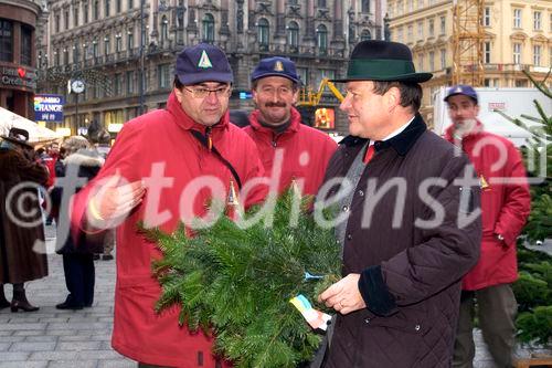 Landwirtschaftskammer Niederösterreich - Tannenreisig für den Stefansdom - Abgeordneter zum Nationalrat Ing. Hermann Schultes und seine Crew verteilen Tannenreisig vor dem Stefansdom