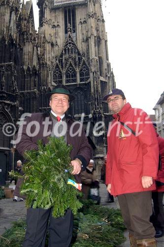 Landwirtschaftskammer Niederösterreich - Tannenreisig für den Stefansdom - Abgeordneter zum Nationalrat Ing. Hermann Schultes und seine Crew verteilen Tannenreisig vor dem Stefansdom