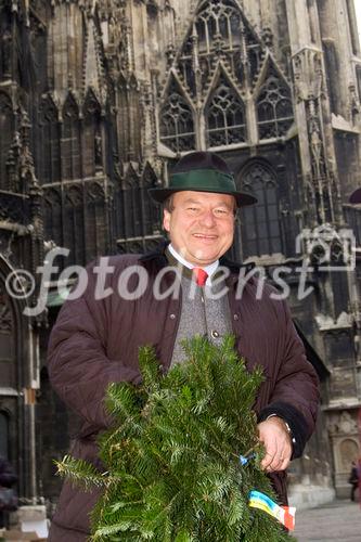 Landwirtschaftskammer Niederösterreich - Tannenreisig für den Stefansdom - Abgeordneter zum Nationalrat Ing. Hermann Schultes und seine Crew verteilen Tannenreisig vor dem Stefansdom