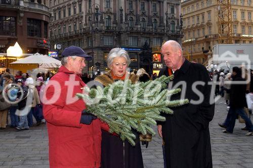 Landwirtschaftskammer Niederösterreich - Tannenreisig für den Stefansdom - Abgeordneter zum Nationalrat Ing. Hermann Schultes und seine Crew verteilen Tannenreisig vor dem Stefansdom