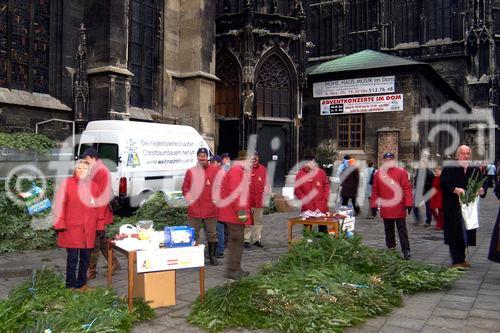 Landwirtschaftskammer Niederösterreich - Tannenreisig für den Stefansdom - Abgeordneter zum Nationalrat Ing. Hermann Schultes und seine Crew verteilen Tannenreisig vor dem Stefansdom