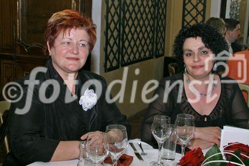 (C) fotodienst/Anna Rauchenberger - Wien 28.04.2006 - Der österreichische Franchise-Verband feiert im Palais Auersperg seinen 20. Geburtstag. 