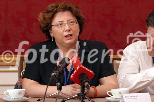 (C) fotodienst/Anna Rauchenberger - Wien 25.07.2006 - Die Konferenz gibt einen Überblick über die neuesten Entwicklungen auf dem Gebiet der Halbleitertechnologie. FOTO: Elisa Molinari (University of Modena).