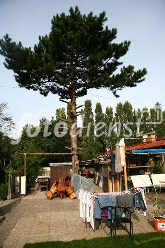 (C)fotodienst/Martin Kitzler;Macondo heißt ein Dorf in Simmering, in dem 3000 Flüchtlinge aus zwanzig Ländern zusammenleben