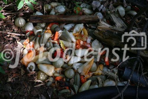 (c) fotodienst/martin kitzler - wien am 16.09.2009 - fotoreportage für die bundesimmobiliengesellschaft.