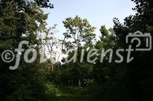 (c) fotodienst/martin kitzler - wien am 16.09.2009 - fotoreportage für die bundesimmobiliengesellschaft.