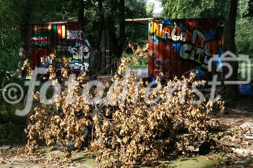 (c) fotodienst/martin kitzler - wien am 16.09.2009 - fotoreportage für die bundesimmobiliengesellschaft.