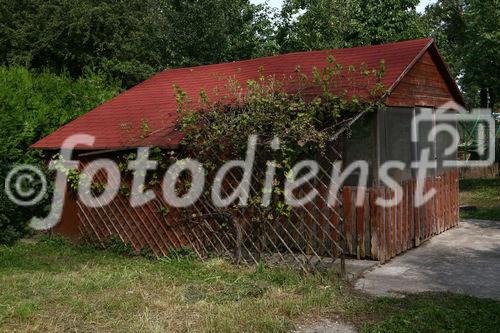(c) fotodienst/martin kitzler - wien am 16.09.2009 - fotoreportage für die bundesimmobiliengesellschaft.