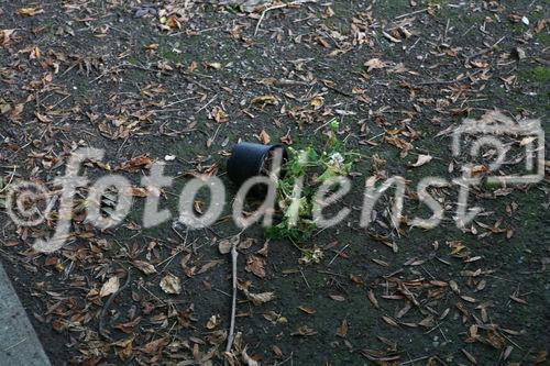 (C)fotodienst/Martin Kitzler;Macondo heißt ein Dorf in Simmering, in dem 3000 Flüchtlinge aus zwanzig Ländern zusammenleben