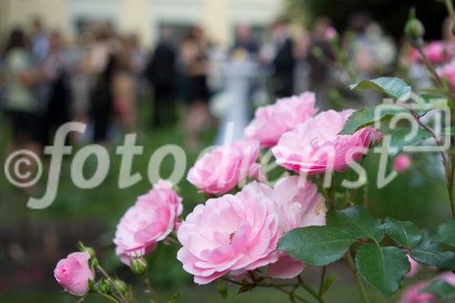 (c) fotodienst / Anna Rauchenberger - Wien, am 10.06.2010 -  Der Verlag Lexis Nexis lud heute ins Palais Schönborn in der Laudongasse zum Sommerfest. Nach kurzer Begrüßung konnten sich die rund 300 Gäste im Garten bei Erfrischungen und Snacks stärken.