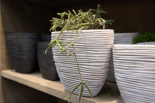  (c) fotodienst / Anna Rauchenberger - Wien, am 26.03.2015 -  Gefäßerie - Schöne Gefäße