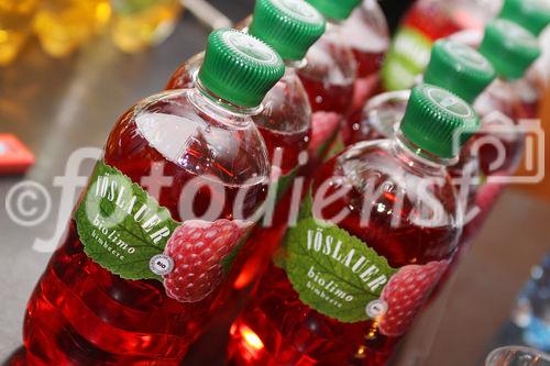 c)fotodienst/Andrea Ganshorn - Frankfurt am Main, 22.06.2009 ; Preisverleihung  CLIO Nacht, FOCUS praesentiert in Kooperation mit dem Gesamtverband Kommunikationsagenturen GWA die weltweit besten Werbespots und die diesjaehrigen CLIO-Gewinner, die im Mai beim CLIO-Festival in Las Vegas gekuert wurden.