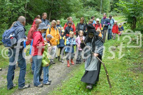 Das neue Schlaraffenland im Zauberwald 