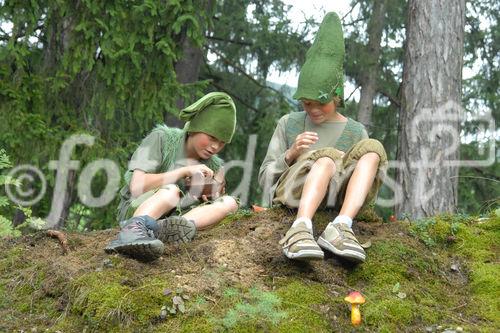 Das neue Schlaraffenland im Zauberwald 