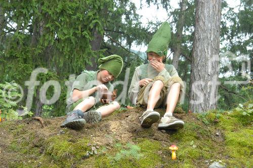 Das neue Schlaraffenland im Zauberwald 