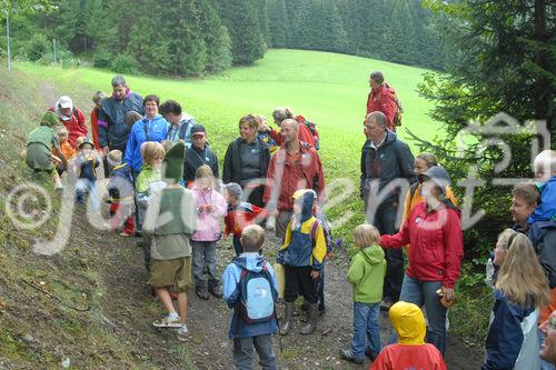 Das neue Schlaraffenland im Zauberwald 