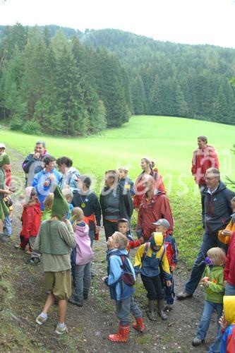 Das neue Schlaraffenland im Zauberwald 