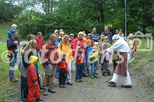 Das neue Schlaraffenland im Zauberwald 