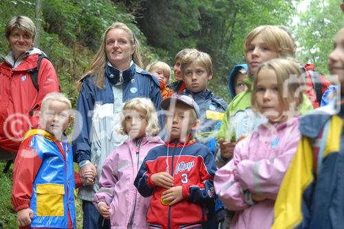 Das neue Schlaraffenland im Zauberwald 