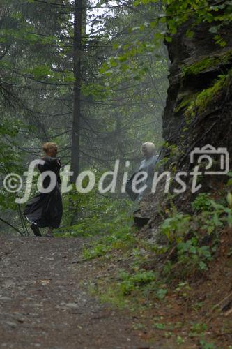 Das neue Schlaraffenland im Zauberwald 