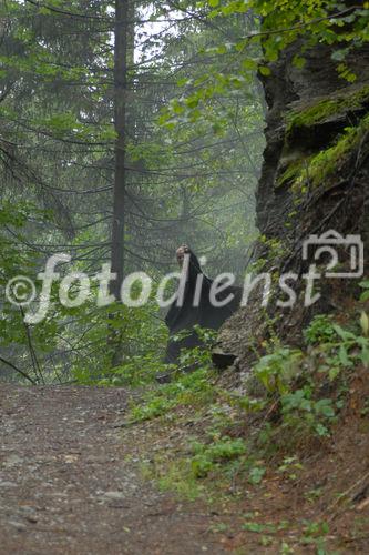 Das neue Schlaraffenland im Zauberwald 