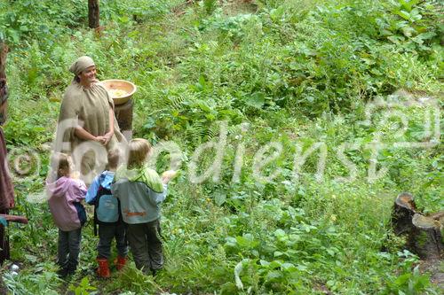 Das neue Schlaraffenland im Zauberwald 