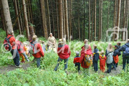 Das neue Schlaraffenland im Zauberwald 