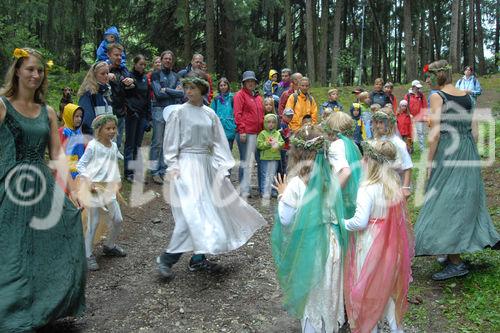 Das neue Schlaraffenland im Zauberwald 