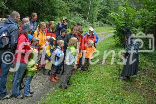 Das neue Schlaraffenland im Zauberwald 