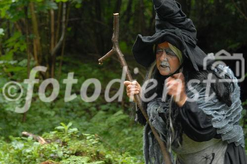 Das neue Schlaraffenland im Zauberwald 