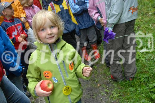 Das neue Schlaraffenland im Zauberwald 