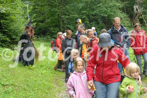 Das neue Schlaraffenland im Zauberwald 