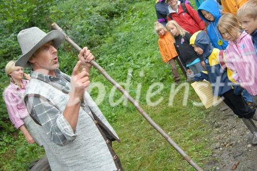 Das neue Schlaraffenland im Zauberwald 