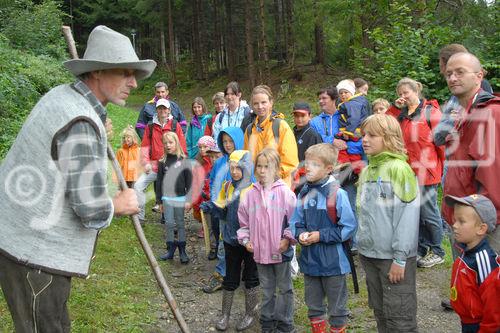 Das neue Schlaraffenland im Zauberwald 