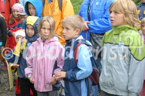 Das neue Schlaraffenland im Zauberwald 